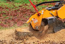 Best Tree Trimming and Pruning  in Cumming, GA