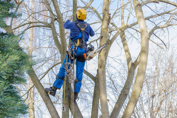 Mulching Services in Cumming, GA